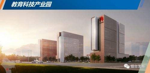 2020年全市 重点片区 开发建设情况新闻发布会 二