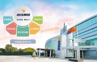 新市场环境下如何变革发展 远成集团是这么干的
