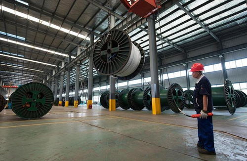 金龙电缆斥资2亿元建智能车间 提升生产效能与产品质量