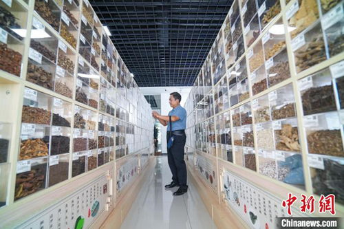 长治多举措引智引技激活高质量发展 一池春水