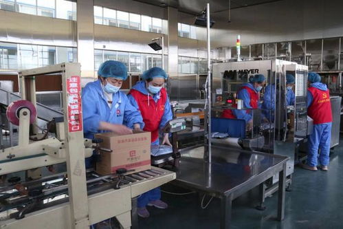 复工复产进行时丨将一颗冬枣 吃干榨净 串起链条助力产业提质加速