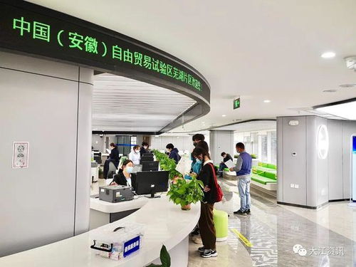 全省十大改革案例 芜湖入选
